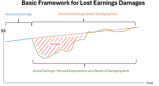 framework for lost earnings