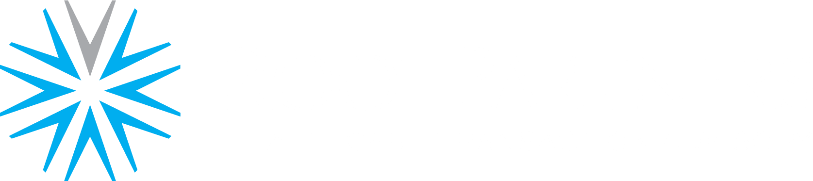 Root Partners